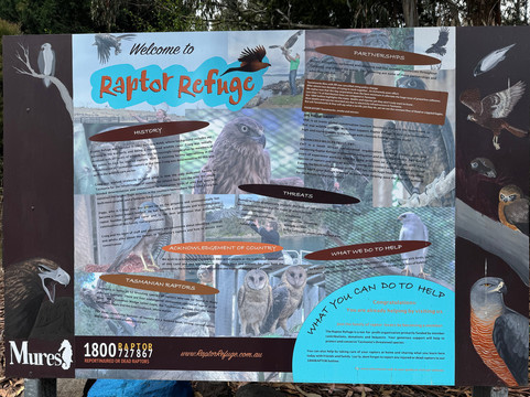 Raptor Refuge-Kettering必去景点
