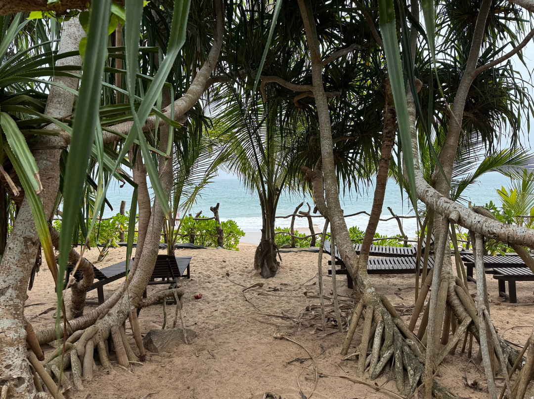 Elgant Island Tours-Katana必去景点