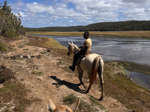 Beachcomber Horse Trails-Kenton-on-Sea必去景点