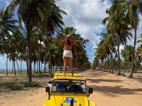 Praia De Maracaipe-嘎林海斯港必去景点