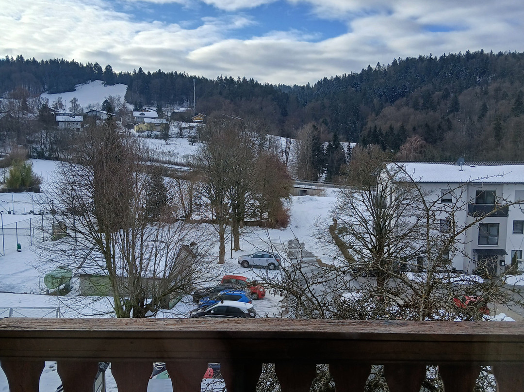 舒尔格活力养生酒店主图