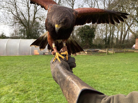 Rutland Outdoor Pursuits-Cottesmore必去景点