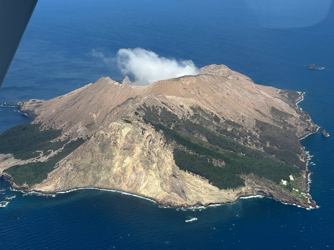 Tauranga Scenic Flights-陶兰加必去景点