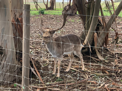 蒙特达贝姆波斯塔主图
