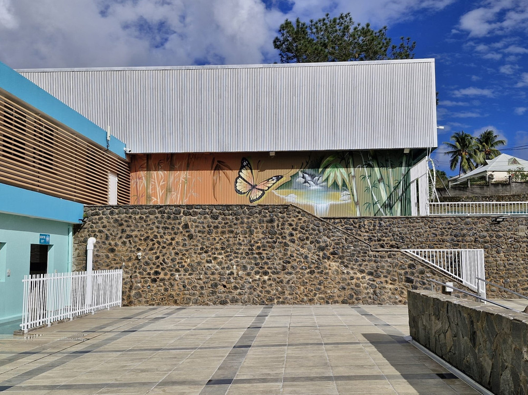 Espace Thermo-ludique René Toribio-Lamentin必去景点