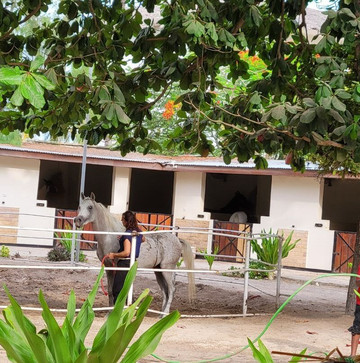 Royal Stable Zanzibar-米查维必去景点