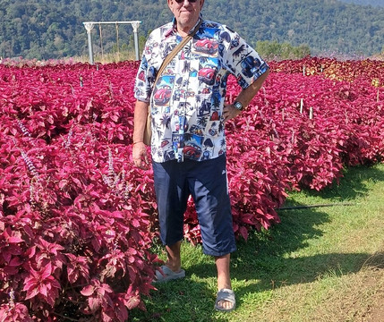 Khao Kho Wind Farm-考柯县必去景点