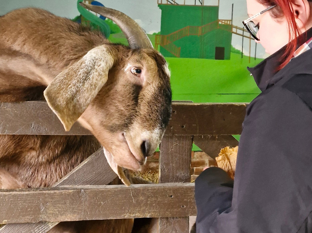 Whitehouse Farm Centre-莫佩思必去景点