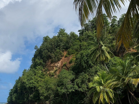 Batibou Beach-Hampstead必去景点