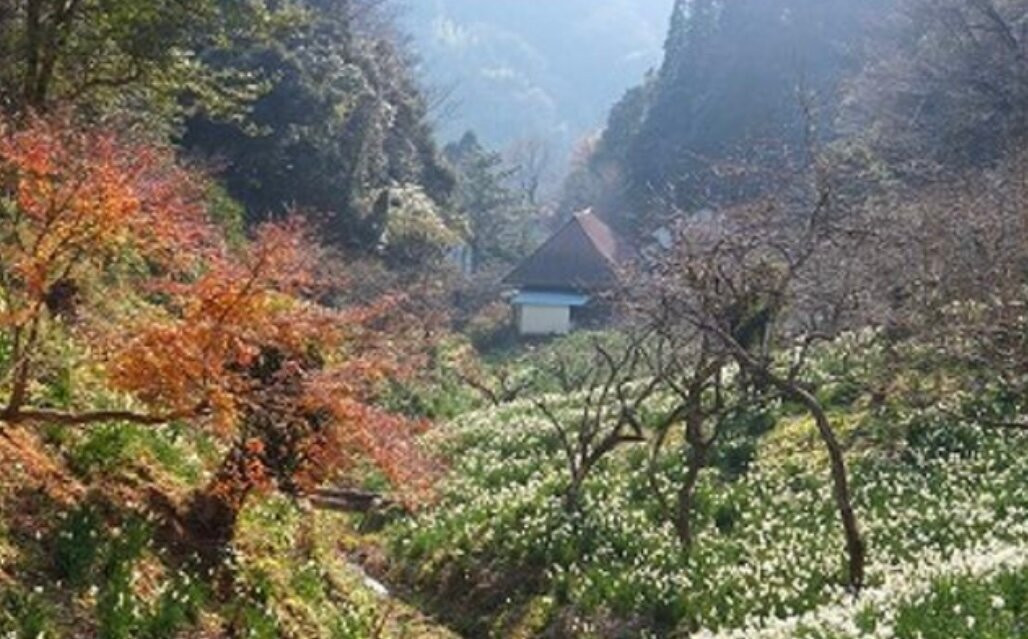Yatsuzawa Suisenkyo-锯南町必去景点