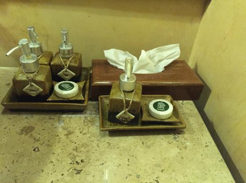 萨瓦斯德乡村酒店主图