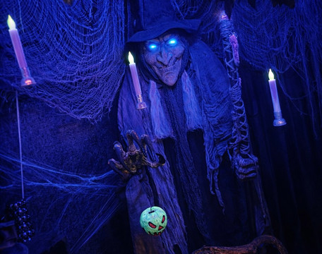 Appalachian Oddities-Weston必去景点