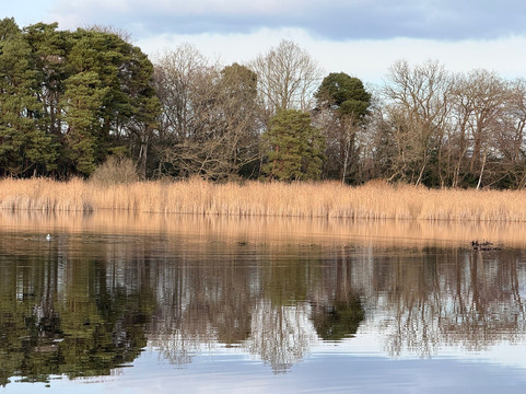Englemere Pond-Ascot必去景点