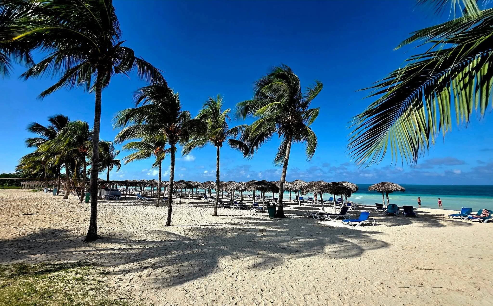 Hotel Playa Coco-官方