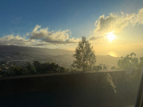 Green Devil Safari-马德拉群岛必去景点