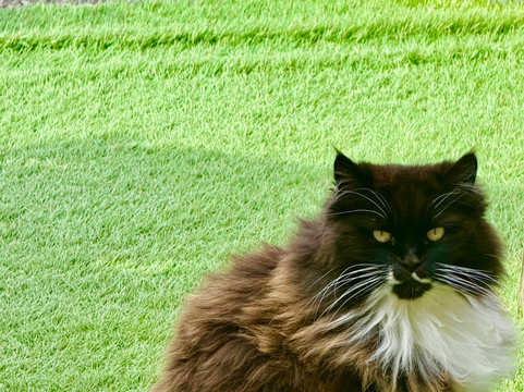 Wise Villa Winery-Lincoln必去景点