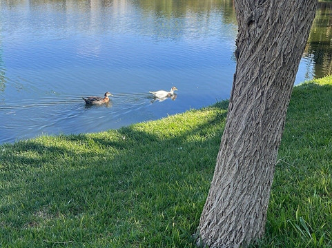 高尔夫馆酒店主图