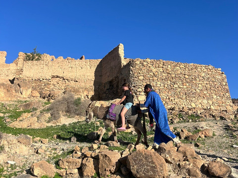 Oasis de Tiout主图