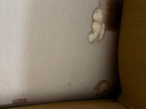 麦迪逊南速8酒店主图