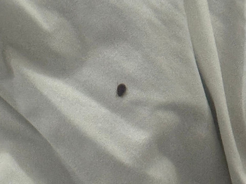 波尼恩特万瓜达拉哈拉佩里费利科酒店主图