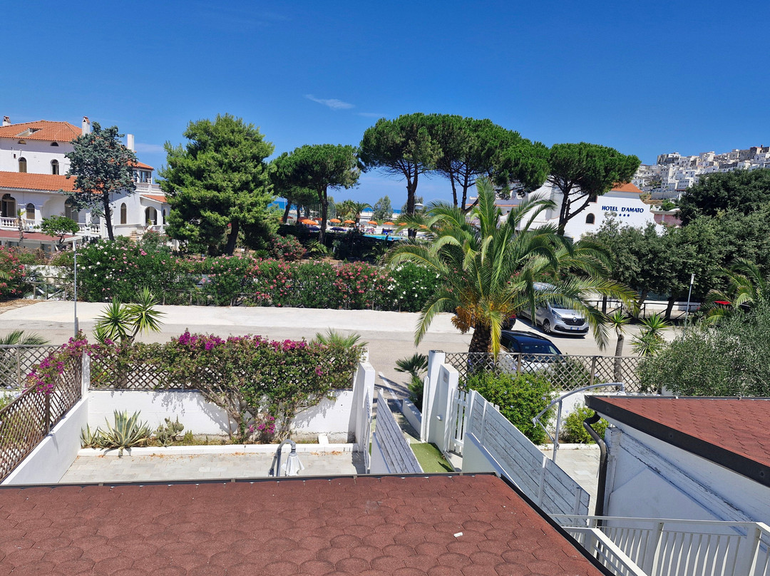 达马托酒店主图