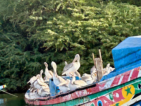 Senegal Raggi di Sole-达喀尔必去景点