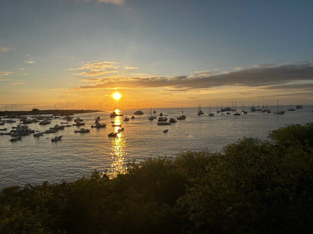 Smart Galapagos-阿约拉港必去景点