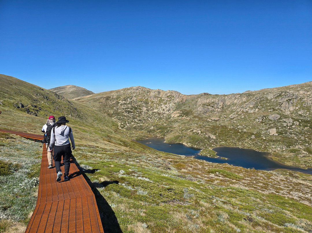 Summit Walk/Main Range Trail-Kosciuszko National Park必去景点