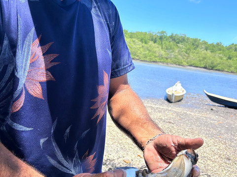 Aventura Eco Brasil-Barra de Sao Miguel必去景点