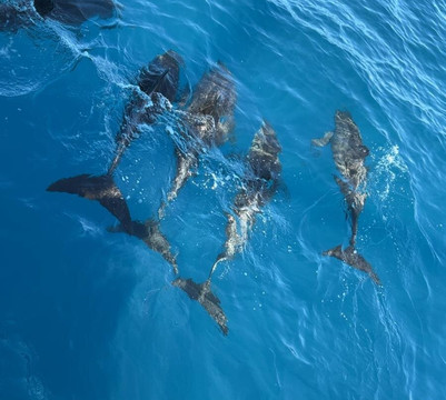 AquaSports-大加纳利必去景点