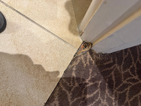 Champneys Henlow Spa-Henlow必去景点