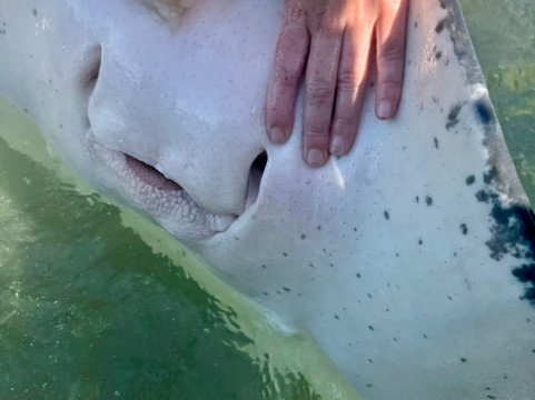 Dive Tatapouri-Gisborne Region必去景点