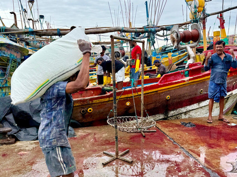 Lanka Classy Tours-凯拉尼亚必去景点