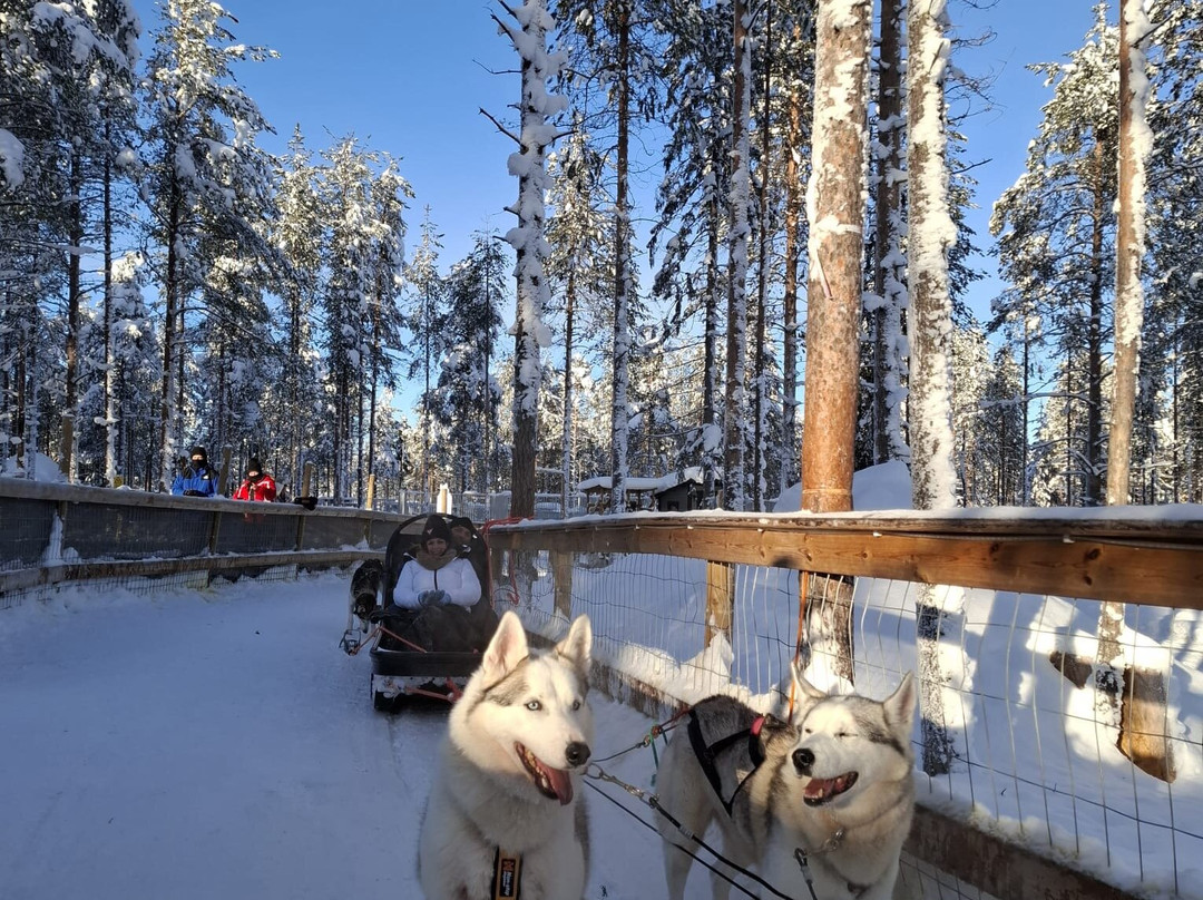 Arctic Circle Husky Park-罗瓦涅米必去景点