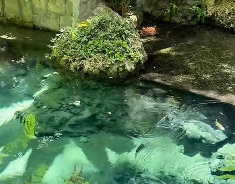 Olheiro Spring-Pureza必去景点