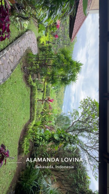 帕特里亚别墅酒店-官方