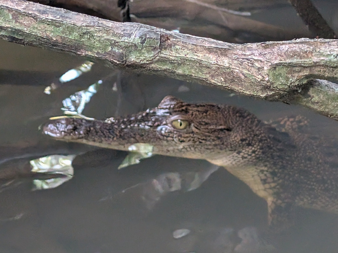 Manu Tours & Travels-亚洪加拉必去景点