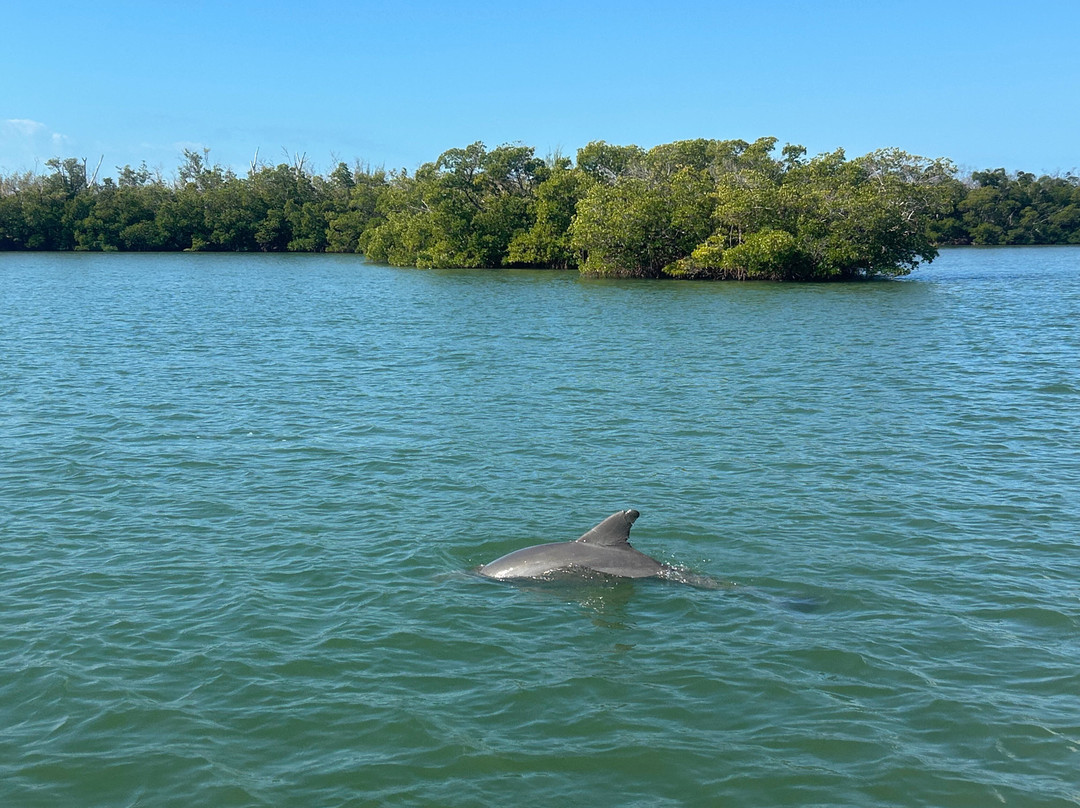 Fort Myers Fishing Adventures-迈尔斯堡海滩必去景点