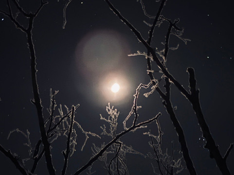 Firesky Guiding-阿比斯库必去景点