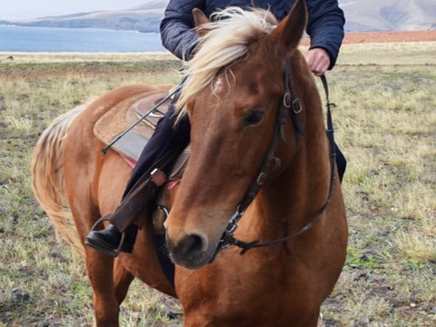 Lanzarote a Caballo-兰萨罗特必去景点