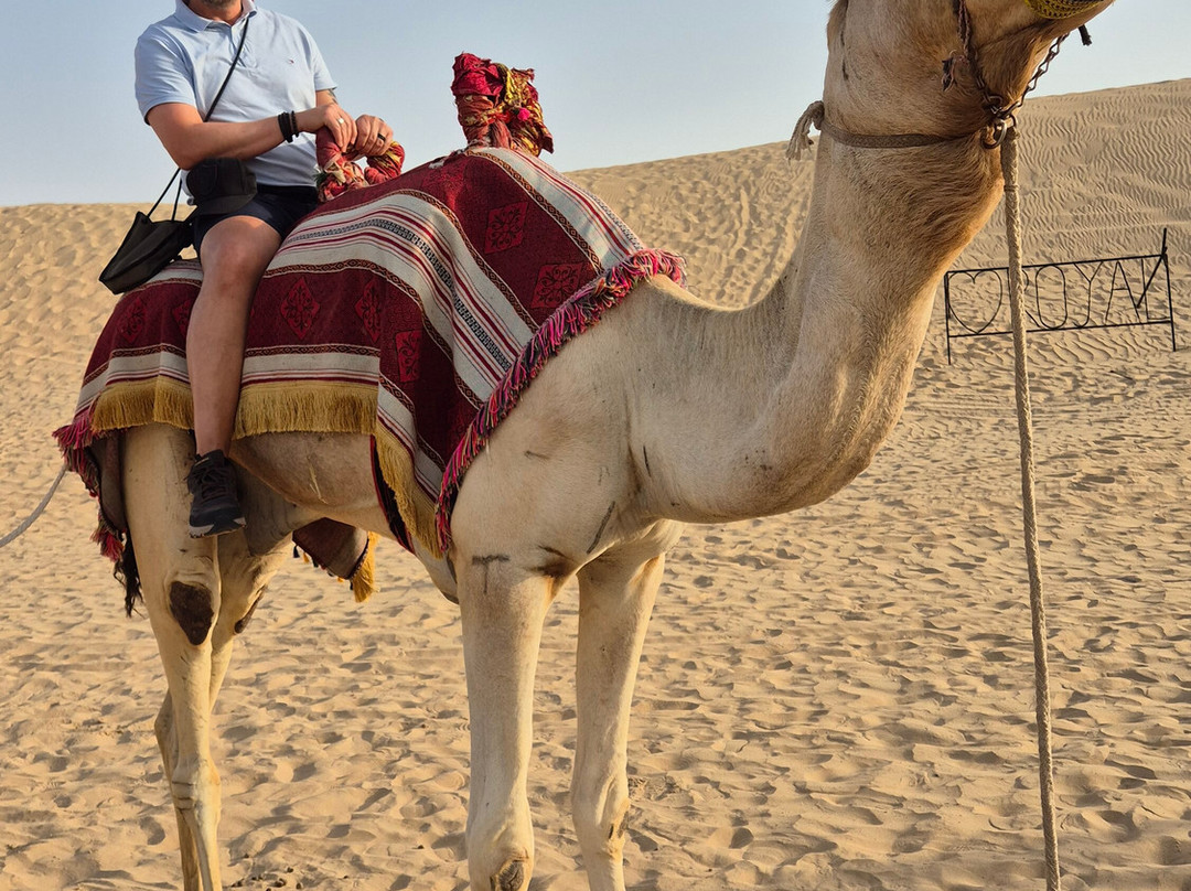 Royal Desert Tourism LLC-阿布扎比必去景点