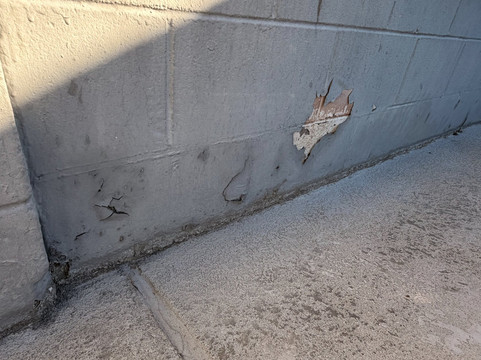 沙漠温泉旅馆主图