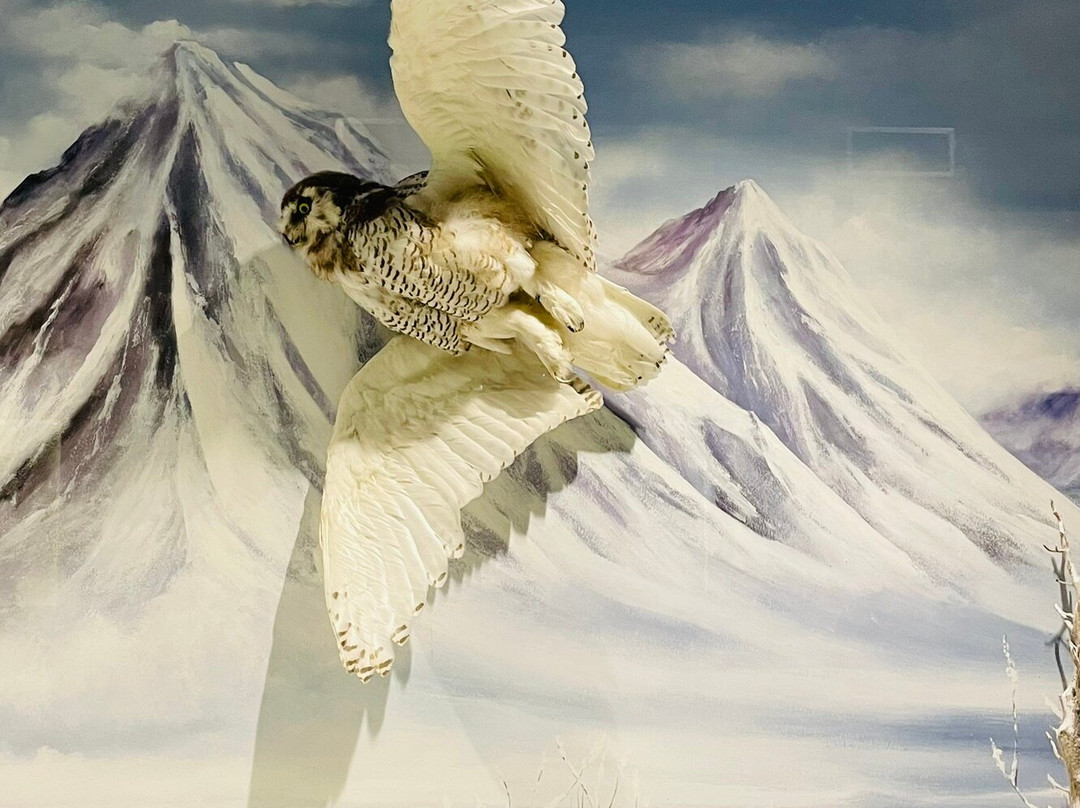 Natural History Museum of Meteora & Mushroom Museum-卡兰巴卡必去景点