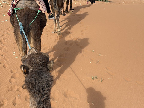 Zbartravel-扎古拉必去景点