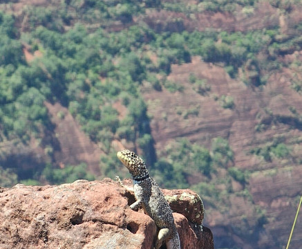 Cidade de Pedra-Chapada dos Guimaraes必去景点