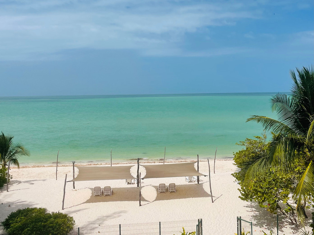 Playa 55 beach escape主图