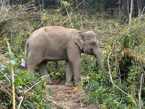 Chang Chill-Mae Win必去景点