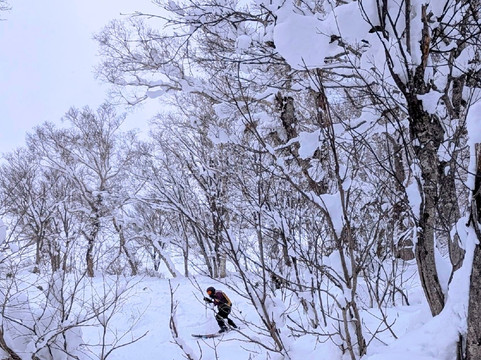 Hanazono Powder Guides-俱知安町必去景点