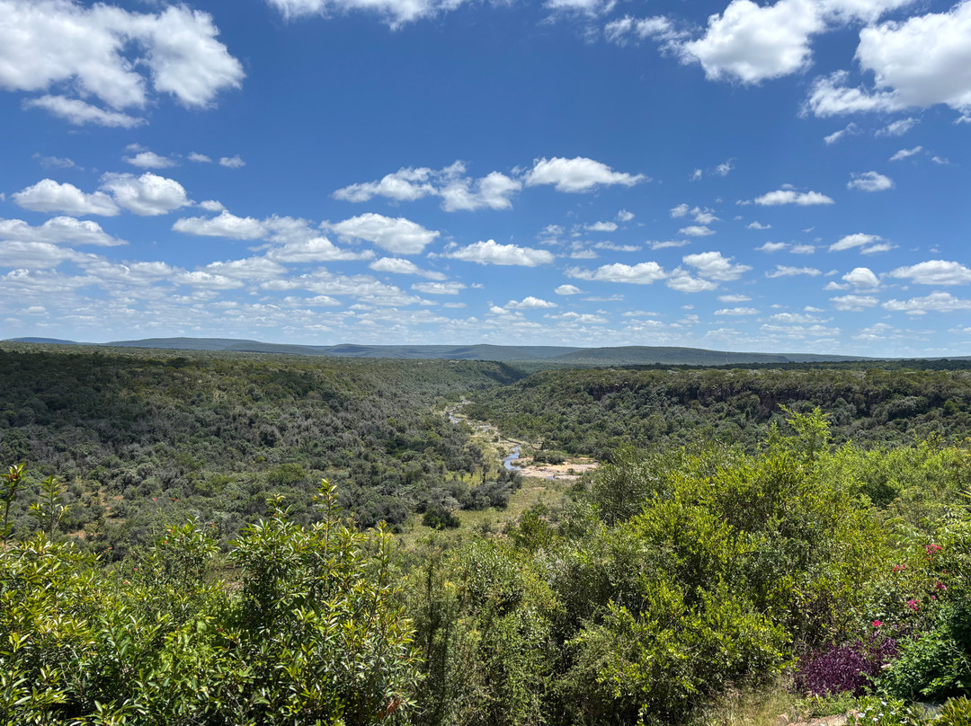 Jembisa Bush Home主图