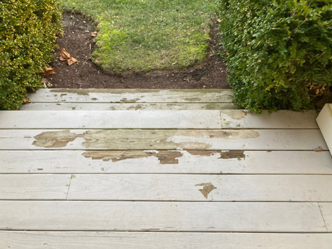 佩里小屋旅馆主图